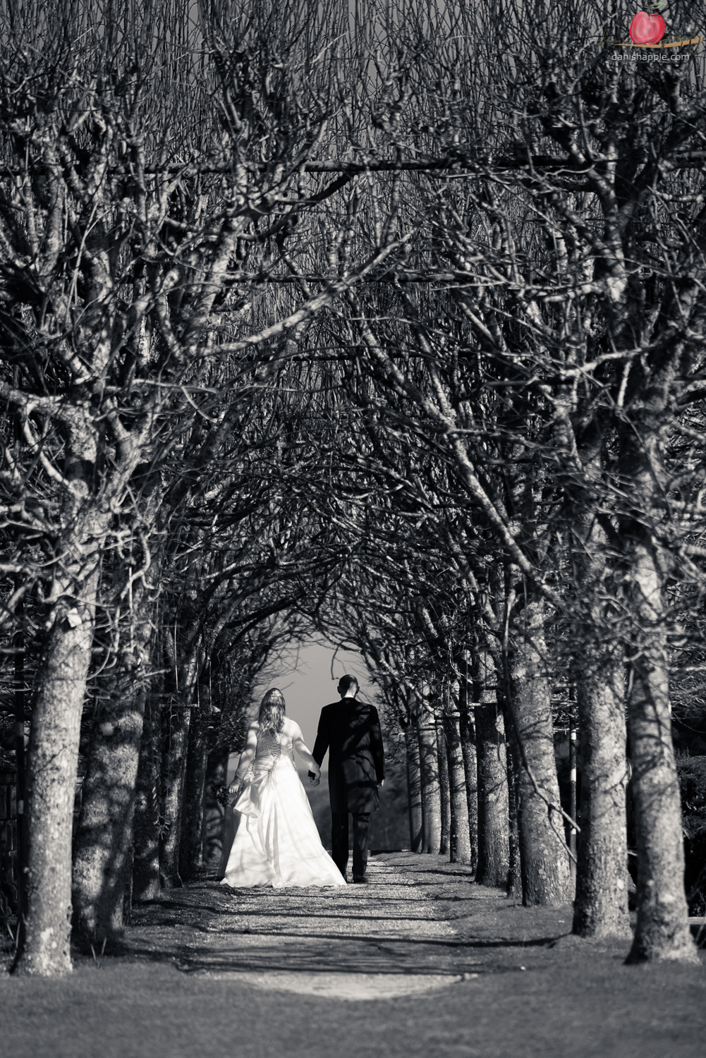 Olivia and Si – Wedding Photography slideshow